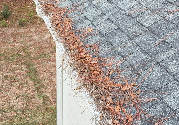 Gutter clogged with pine needles and leaves before cleaning